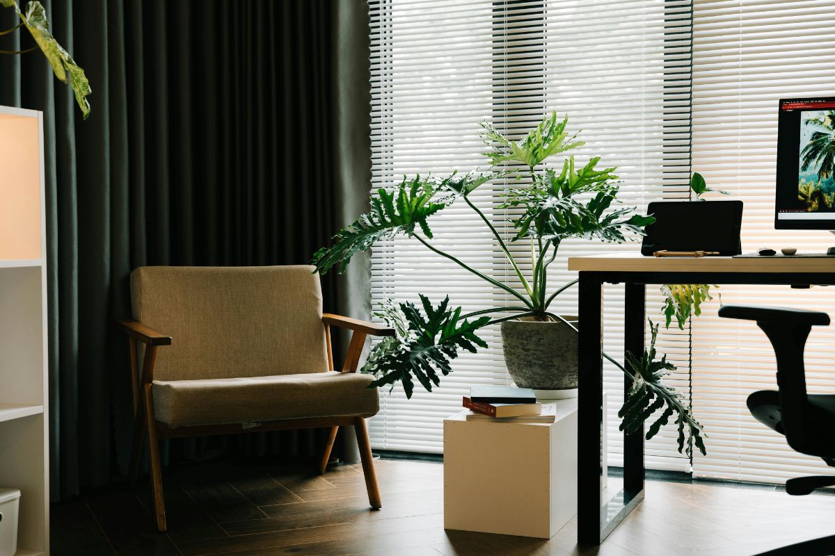 Add Plants & Personal Decor