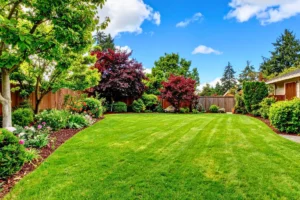 garden landscaping